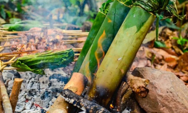 雨林觅食丛林大餐 · 大地的天然食堂