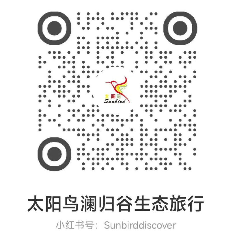 小红书